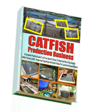 Find Here The Complete Resource For All Aspect Of Catfish Farming, Large Or Small Scale And Its Related Businesses You Can Be Extremely Rich